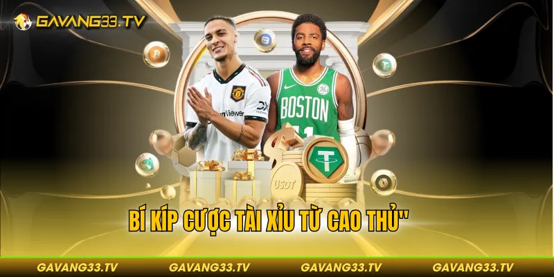 Bí kíp cược tài xỉu từ cao thủ
