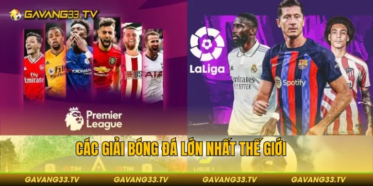 các giải bóng đá lớn nhất thế giới
