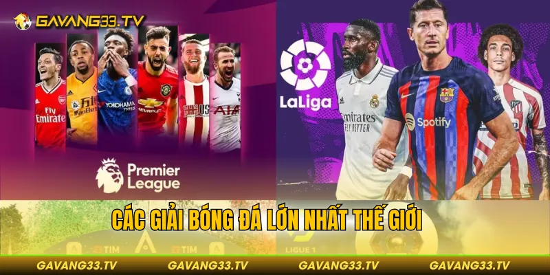 các giải bóng đá lớn nhất thế giới