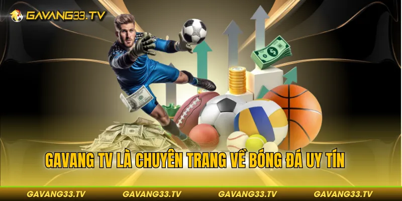 GavangTV là chuyên trang về bóng đá uy tín