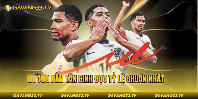 Hướng dẫn tân binh đọc tỷ lệ chuẩn nhất