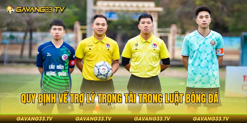 Quy định về trợ lý trọng tài trong luật môn thể thao vua