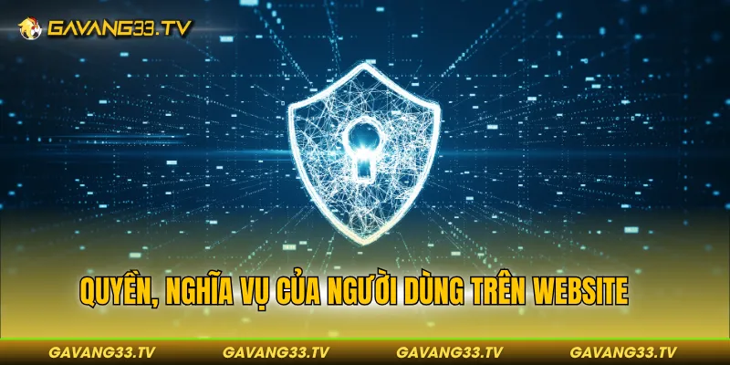 Chính Sách Bảo Mật 4 Quyền, nghĩa vụ của người dùng trên website