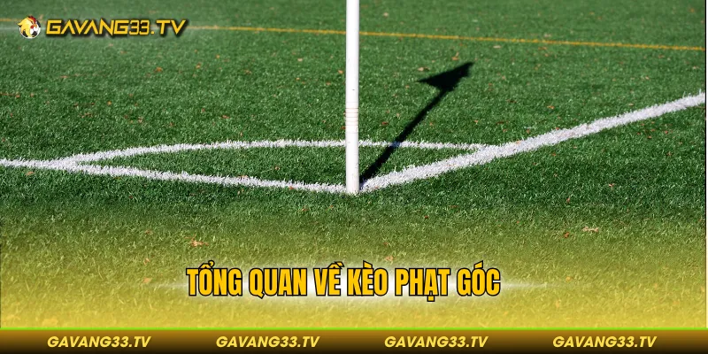 Tổng quan về kèo phạt góc