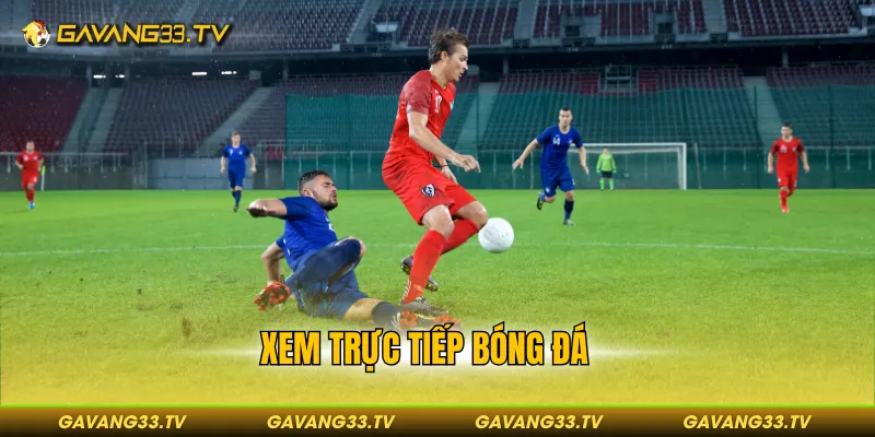 Xem trực tiếp bóng đá