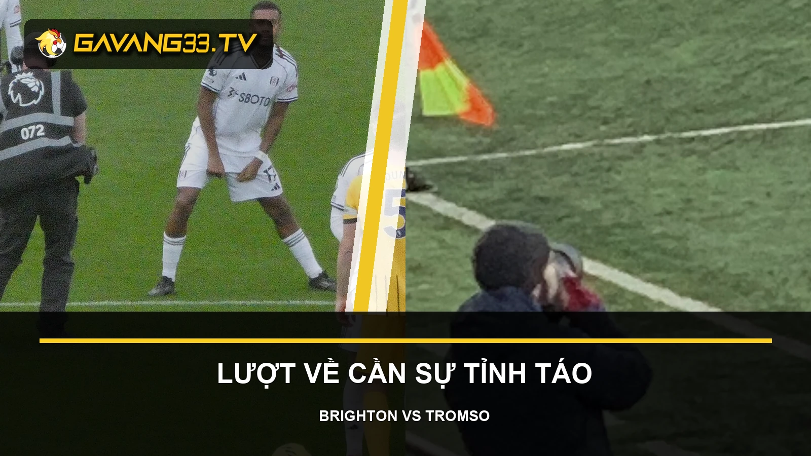 Tư liệu Brighton và Tromsø IL trước trận Conference League, có logo và tiêu đề bài nhận định