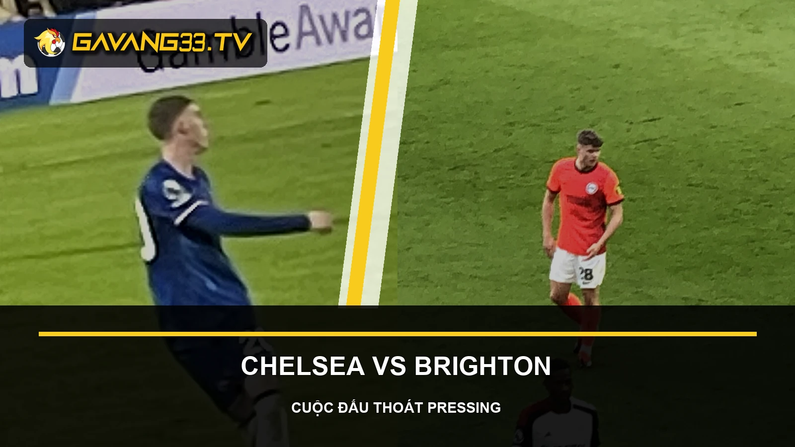 Nhận định Chelsea vs Brighton: Quản trị khoảng trống 2 Ảnh tư liệu Chelsea và Brighton & Hove Albion trước trận Premier League
