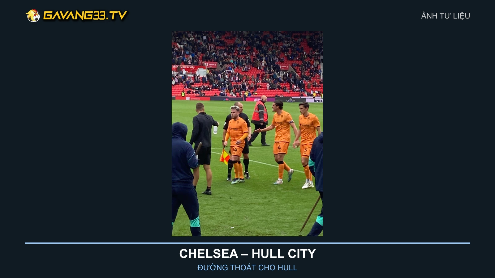 Ảnh tư liệu đội hình Hull City năm 2023