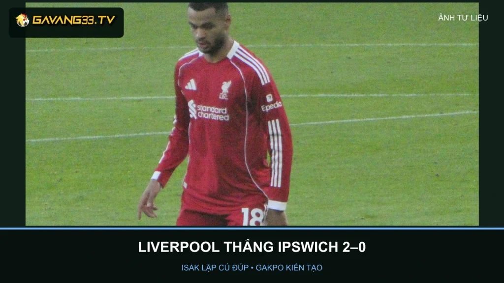 Cody Gakpo trong màu áo Liverpool, ảnh tư liệu tháng 1/2026